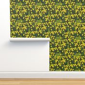 large_daffodil_field_grass_3_fq