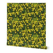 large_daffodil_field_grass_3_fq