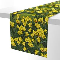 large_daffodil_field_grass_3_fq