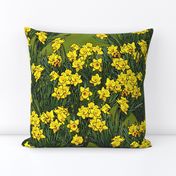 large_daffodil_field_grass_3_fq