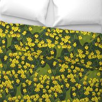 large_daffodil_field_grass_3_fq