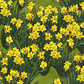 large_daffodil_field_grass_3_fq