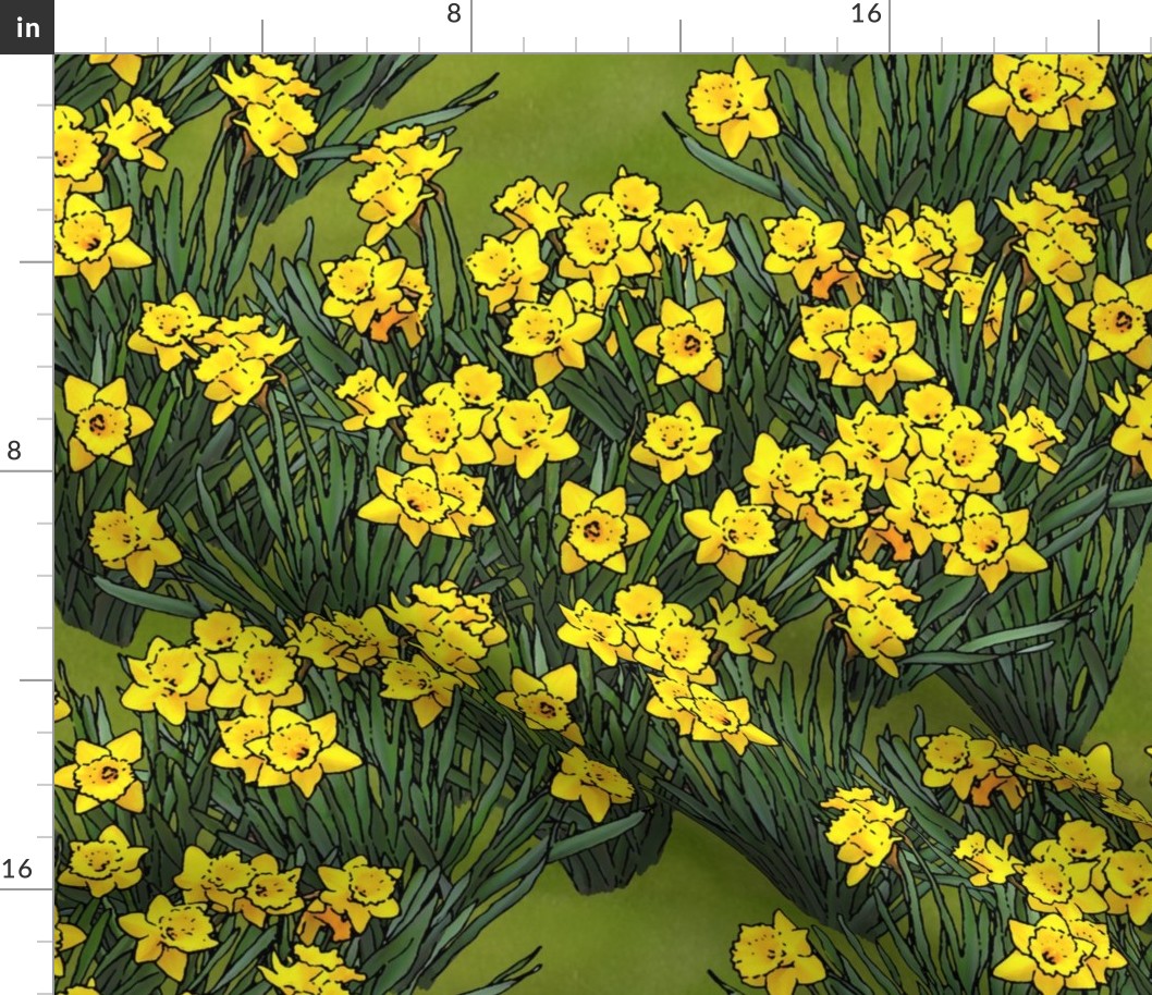 large_daffodil_field_grass_3_fq