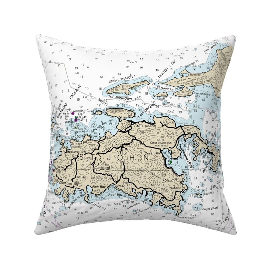 HOME_GOOD_SQUARE_THROW_PILLOW