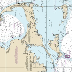 Cape Cod and Islands nautical map