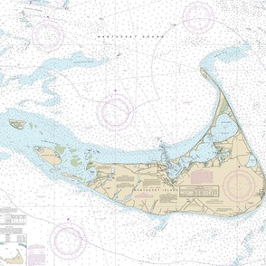 Nantucket nautical map