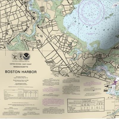 Boston harbor nautical map