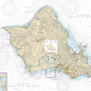 Hawaii Oahu nautical map