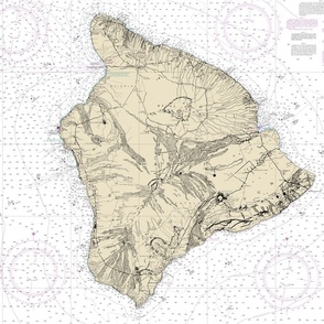 Hawaii big island nautical map