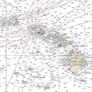 Hawaii nautical map