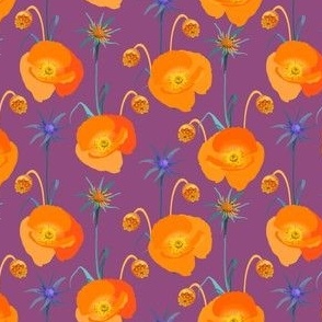 Bright Orange Poppy Flowers