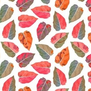 Bright Colorful Leaves