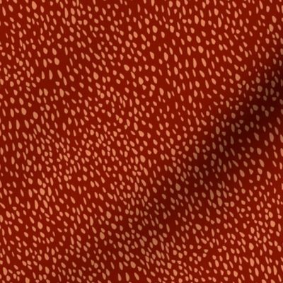 Armadillo Spots Terra Cotta on Red