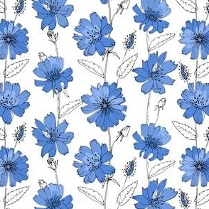 Minimal Black and White Flowers with Blue Accents
