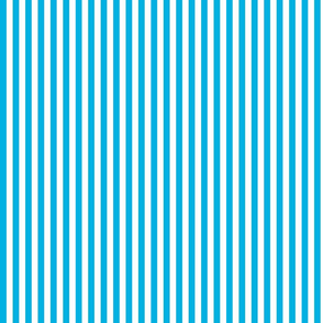 Turqouise Blue Stripes on White