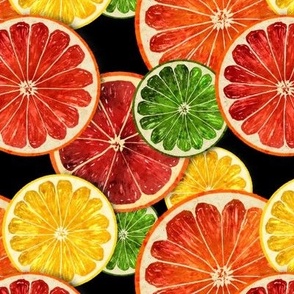 Citrus slices natural - black background