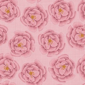Pink Roses on Linen