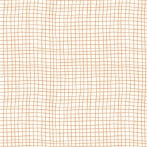 Hand Drawn Grid - Papaya Orange on a White Background - 5x5