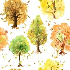 Autumn Fall Foliage Trees