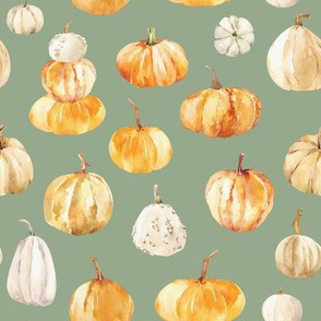 Watercolor Pumpkins / Sage