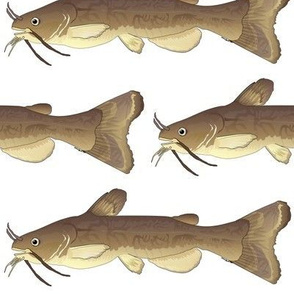 Brown Bulhead Catfish