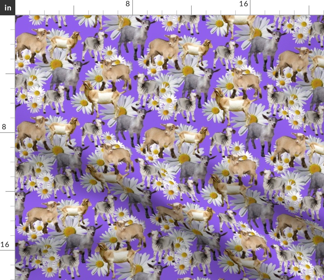 goat collage lavender