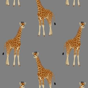 Giraffe - on grey