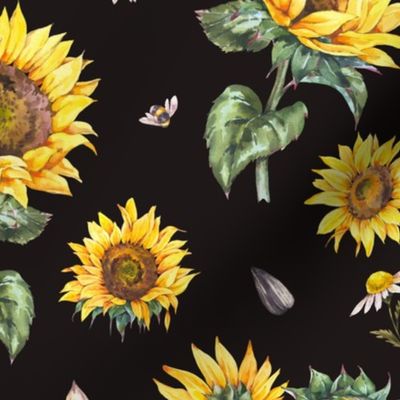 Sunflowers on black