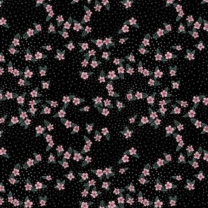 Little Pink Flower Ground Cover on a Black Background - 5x5