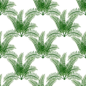 Tropical leaves on an white background.
