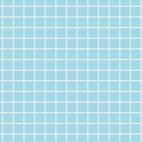 Grid Pattern - Arctic Blue and White