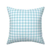 Gingham Pattern - Arctic Blue and White