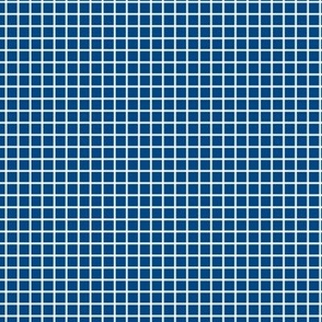 Small Grid Pattern - Blue and White
