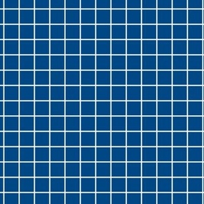 Grid Pattern - Blue and White