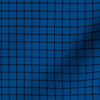 Grid Pattern - Blue and Black