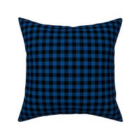 Gingham Pattern - Blue and Black