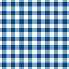 Gingham Pattern - Blue and White