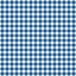 Small Gingham Pattern - Blue and White