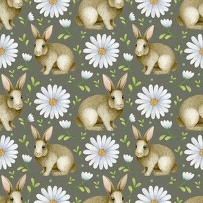 Bunny Rabbits and Daisies