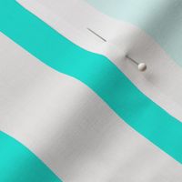 Small Aqua and Broken White Cabana Beach Vertical Stripe