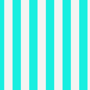 Small Aqua and Broken White Cabana Beach Vertical Stripe