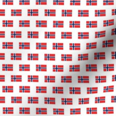 Norwegian Flag // Micro