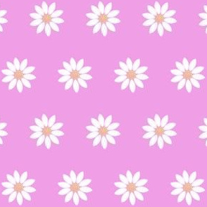 Daisies on pink