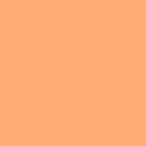 RW11.7 - Peaches-and-Cream  Pastel Orange Solid -  hex ffad74