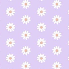 White daisies on lilac