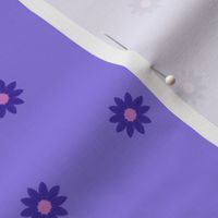 Small indigo daisies on purple 