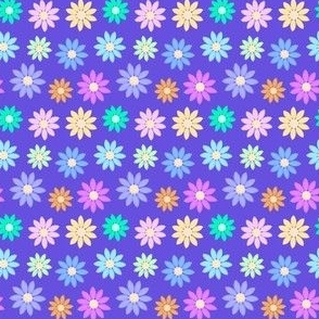 Rainbow daisies on purple 