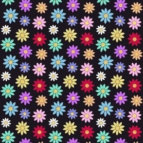 Rainbow daisies on black 