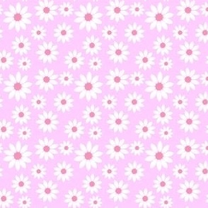 White daisies on pink
