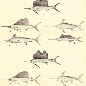 Swordfish and Sailfish